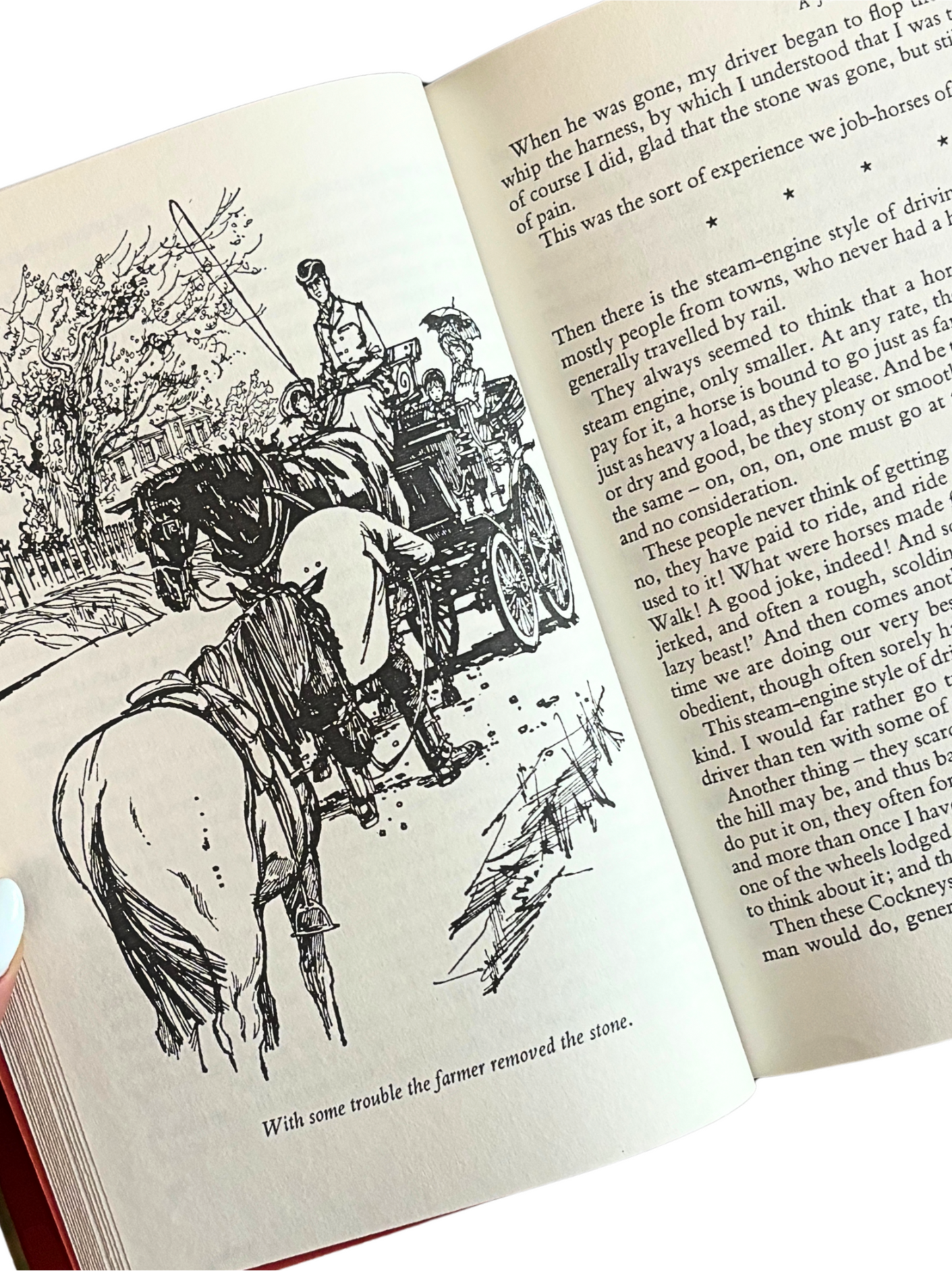 Horse & Pony Book